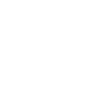 Nicole Hanson Group